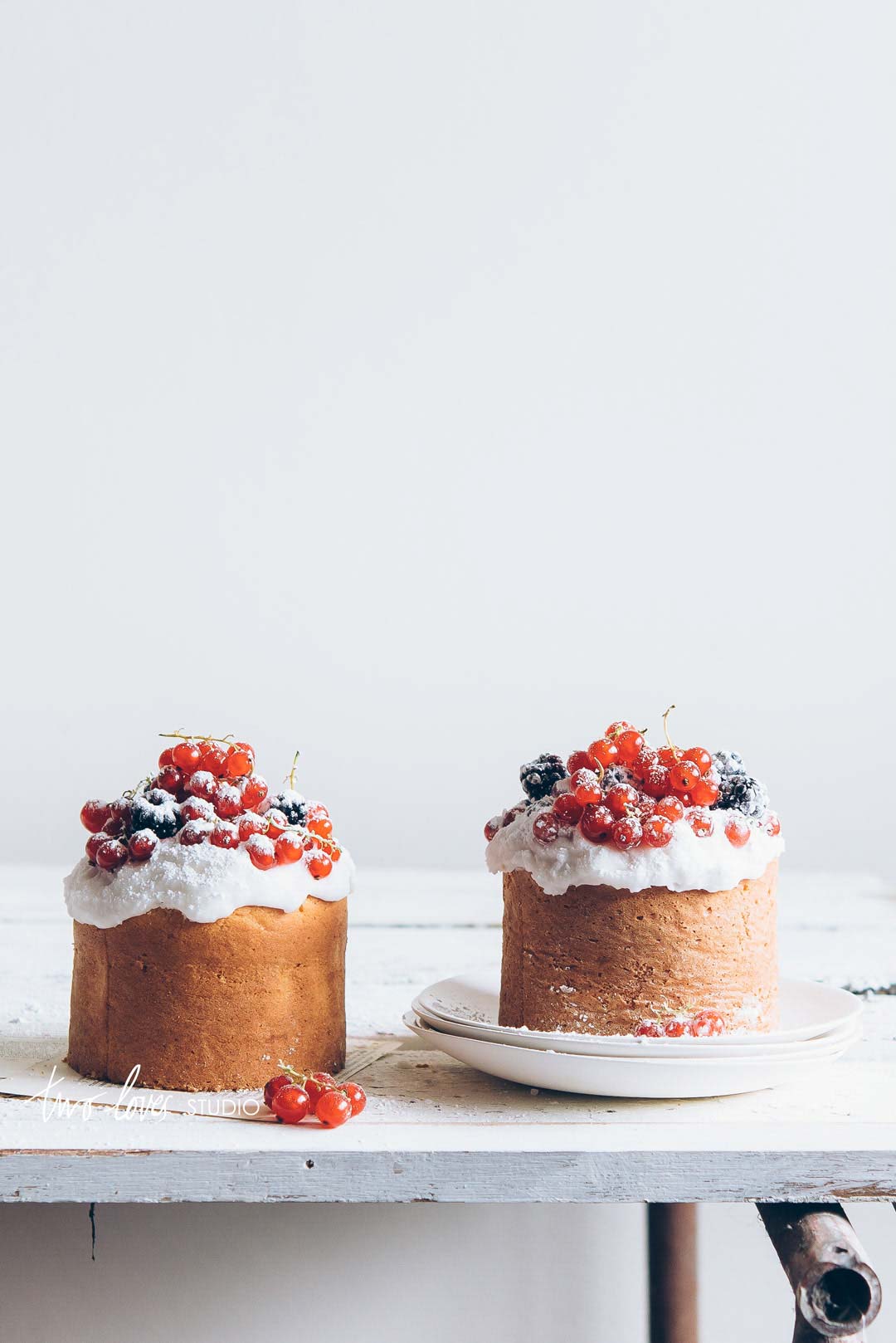 99 Food Photography Tips: A collection of food photography tips from photographers at all stages of their creative journey. Tips about lighting, hacks, props, styling and mindset. Click to read.