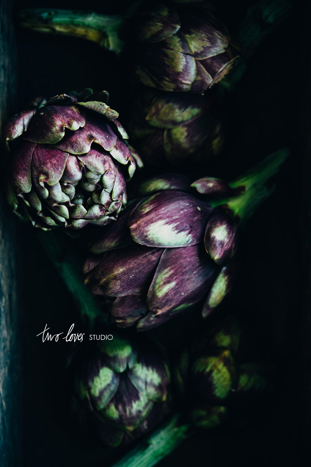Dark photography of artichoke hearts close up in a dark photo box
