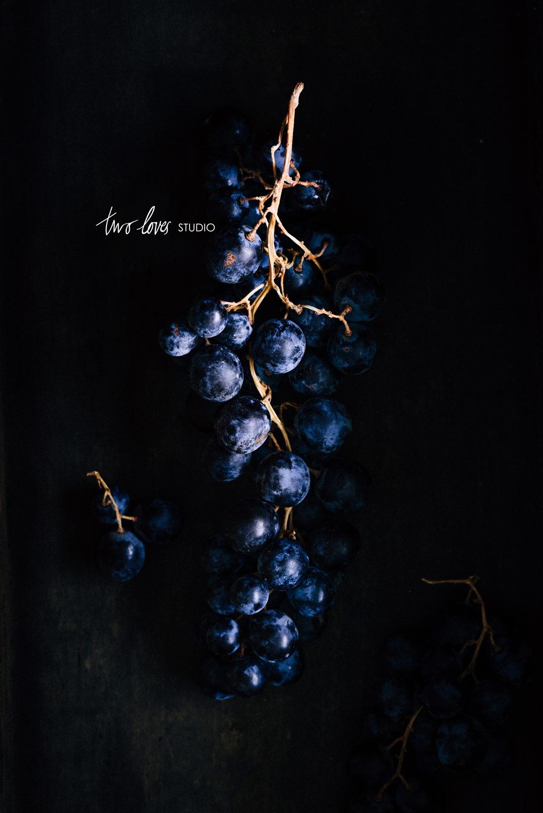 Dark mood photography. Purple grapes on the vine set on a dark background. 