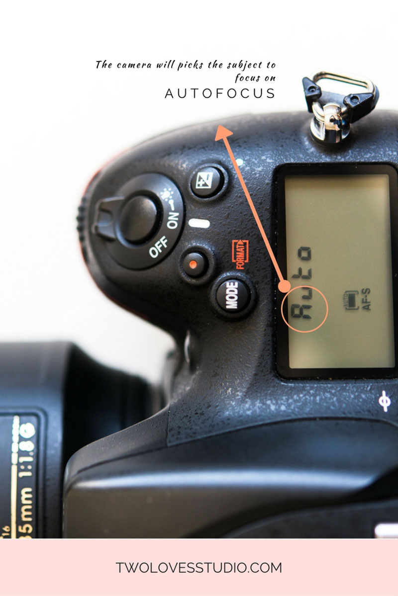 Autofocus is bad. True or False? How to correctly use autofocus for still life photography to get sharp images.