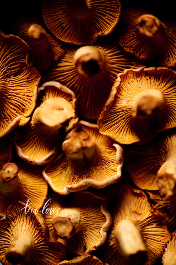 Chantrelle mushrooms. A macro photo to show the best camera settings for food photography.