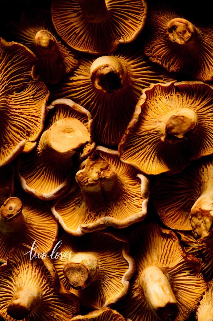 Chantrelle mushrooms. A macro photo to show the best camera settings for food photography.