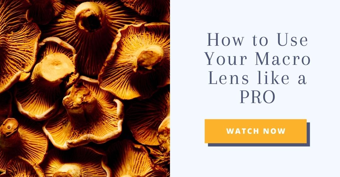 which-macro-lens-for-food-photography-should-you-buy