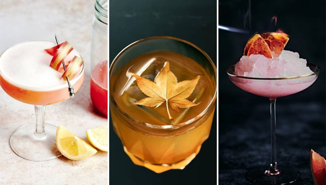13 Simple Yet Stunning Cocktail Garnish Ideas For Drinks Photos