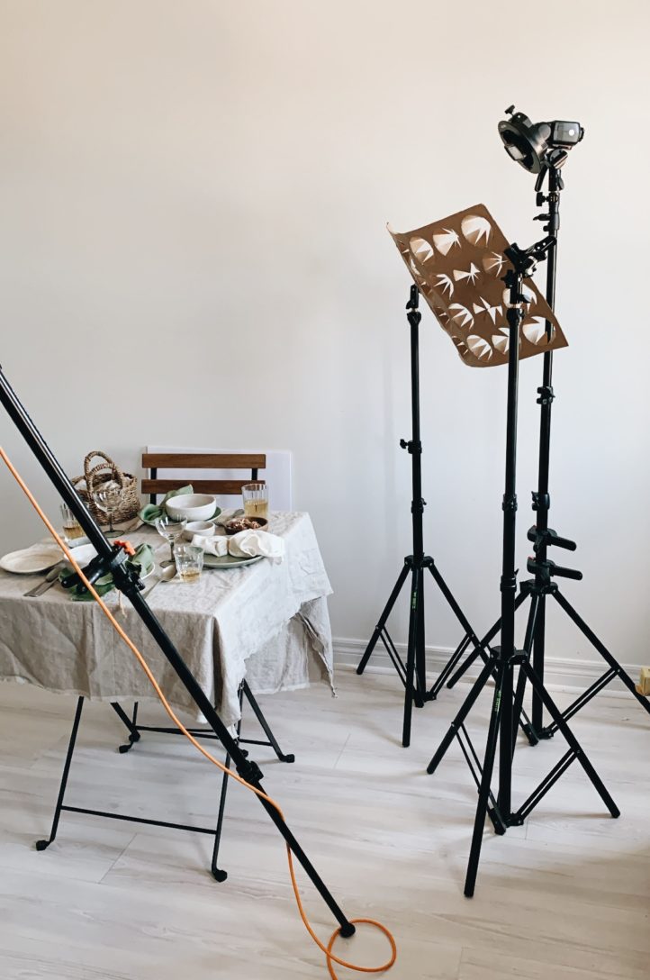 Example of a dappled light set up using a light and modifier. 