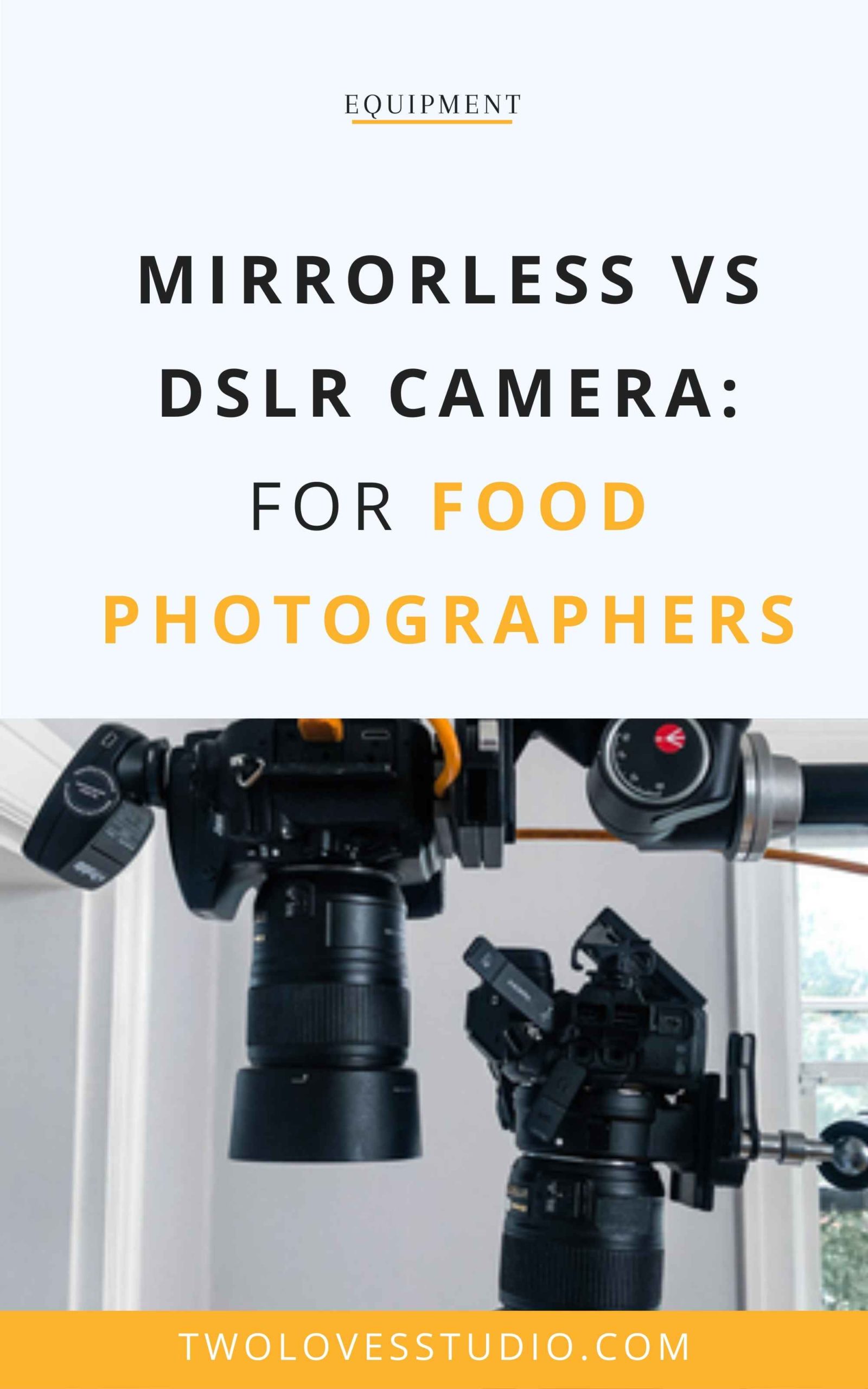 professioneel paperback Om toestemming te geven Mirrorless VS DSLR Camera: Which is better for Food Photographers?