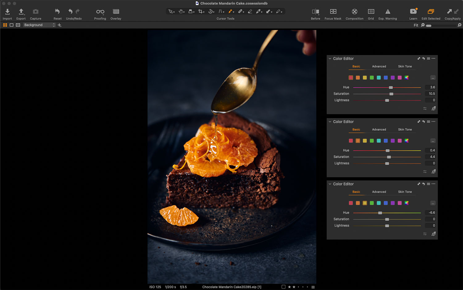 Example screen shot of correct color Food Photography. A dark chocolate cake with orange slices. 