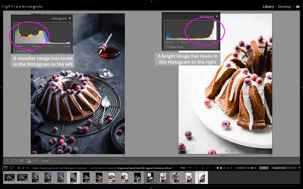 Image of a chocolate bundt cake with white drizzle, red berries sprinkled on top. Editing food photography Histogram tonal values.