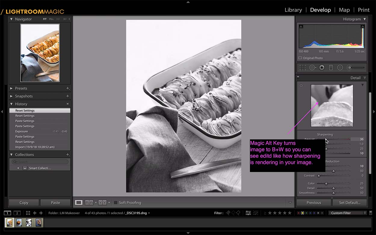 Alt key can be used to quickly turn images to black and white to see certain adjustments using lightroom hacks