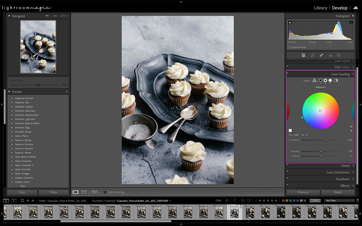Screenshot of Lightroom editing software Color Grading Panel for food photographers