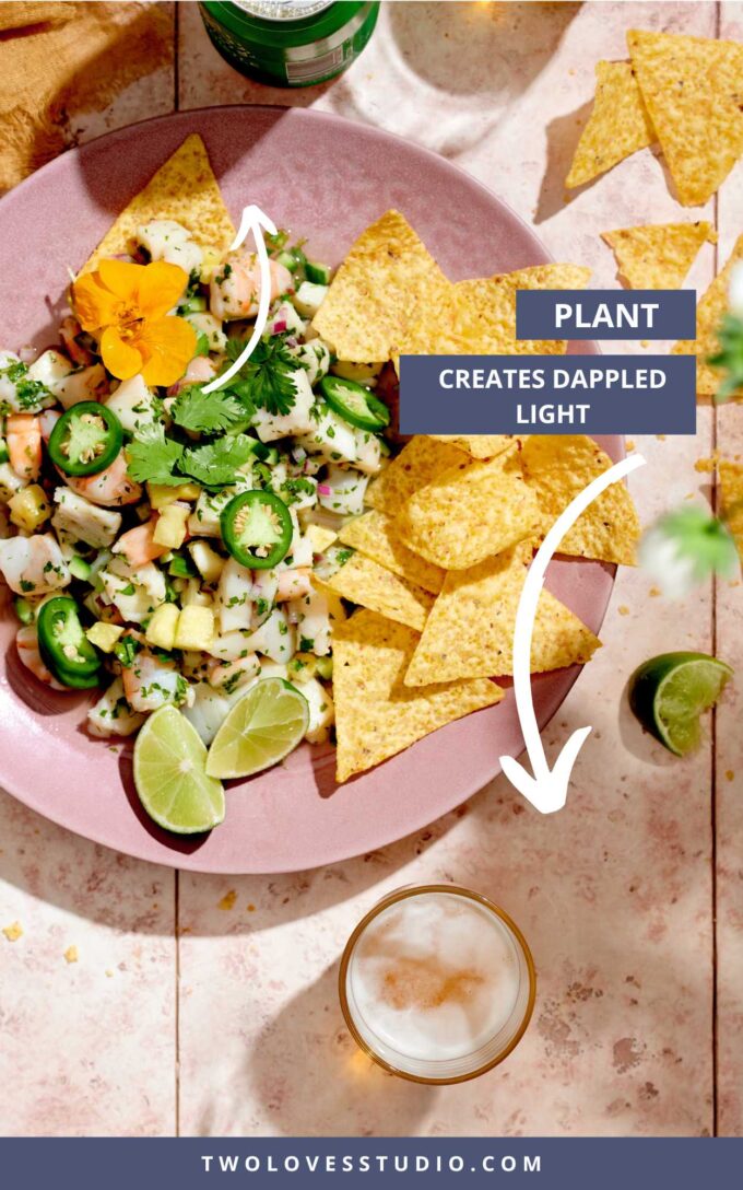 Ceviche on a pink plate with a beer and tortilla chips.