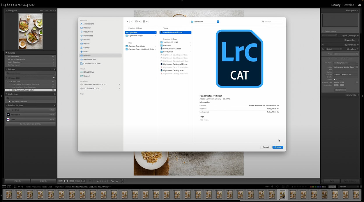 Screenshot of Lightroom with images being moved between catalogues.