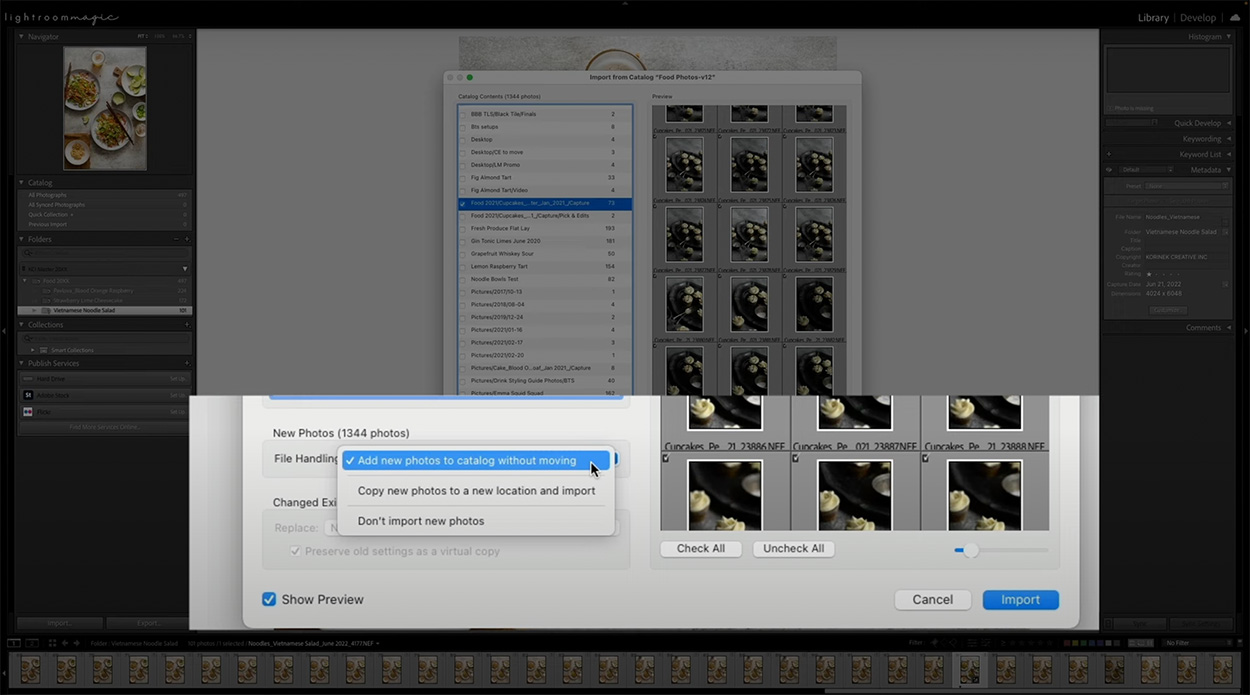 Screenshot of Lightroom to know the settings of how to move images between Lightroom catalogues.