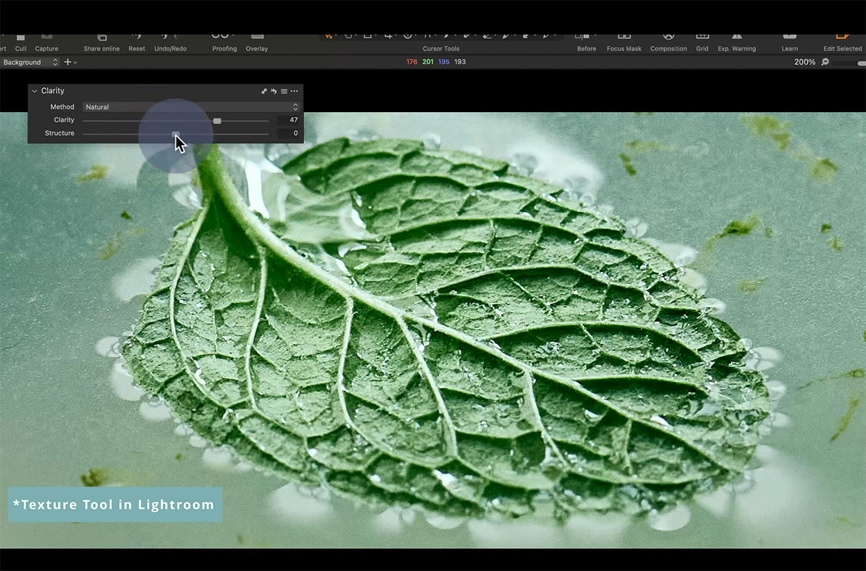 Macro photo of a mint leaf in Capture One editing software.