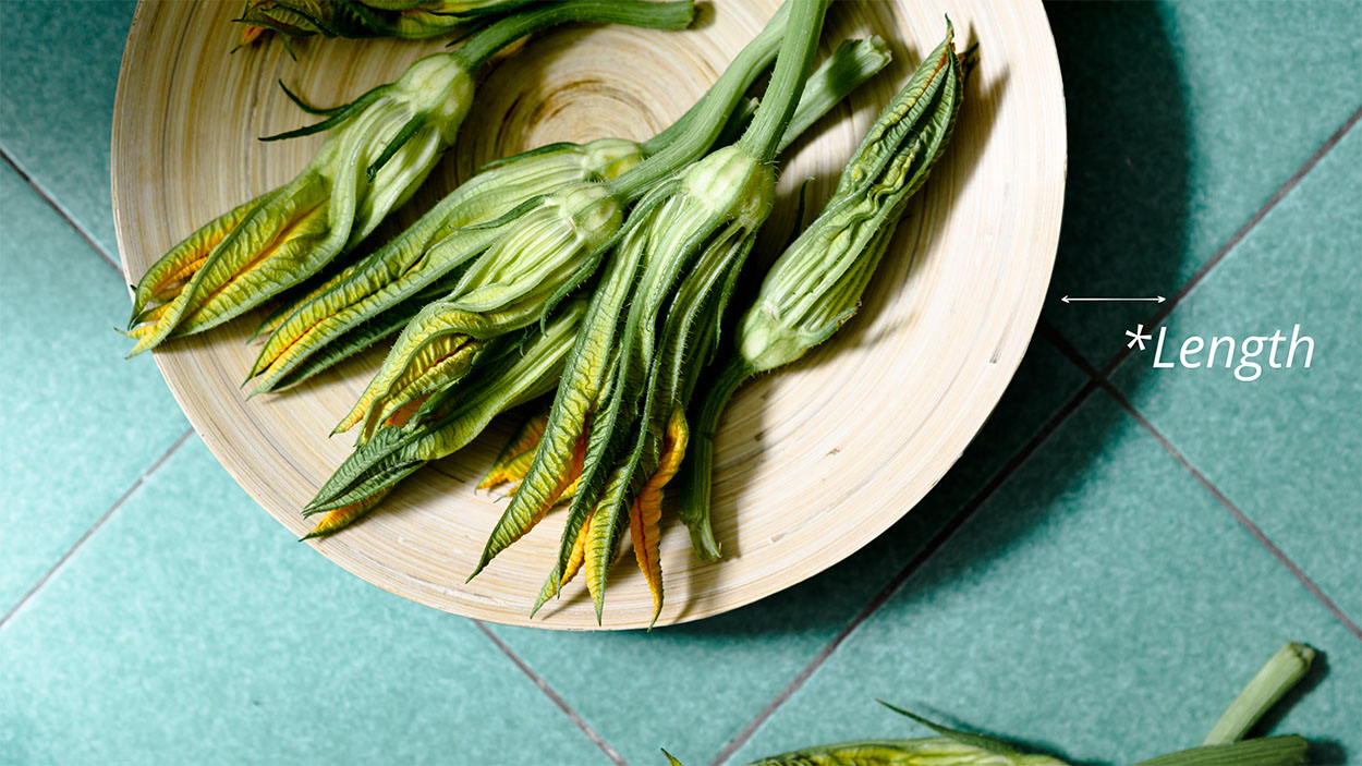 A plate of zucchini flowers on a bold green tile and natural light.