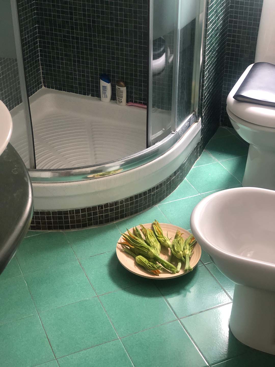 A zucchini flower plate on the bathroom floor showing behind the scenes.