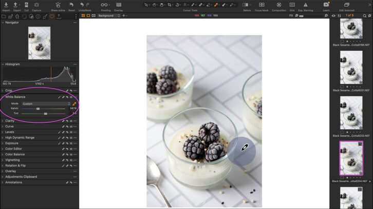 Screenshot of editing software Capture One: Using the Eye-dropper tool.